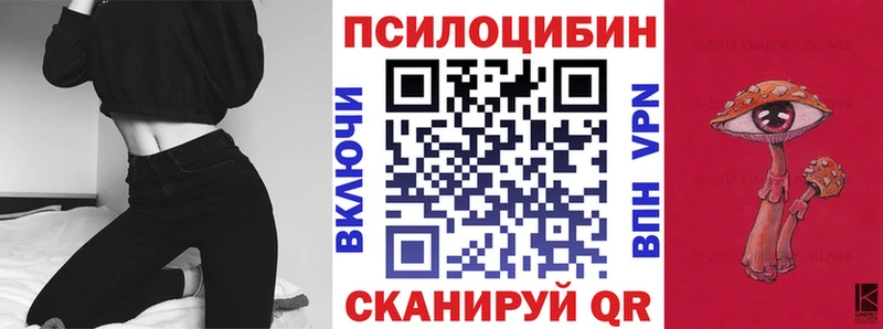 гидра ТОР  Ржев  Псилоцибиновые грибы мицелий  хочу  